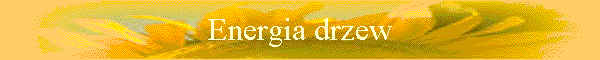 Energia drzew