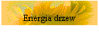 Energia drzew