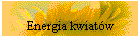 Energia kwiatw