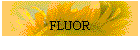 FLUOR