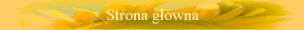 Strona gwna