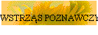 WSTRZS POZNAWCZY