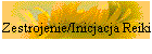Zestrojenie/Inicjacja Reiki